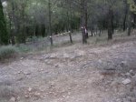 DSCN0197.jpg