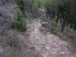 DSCN0203.JPG
