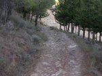DSCN0211.jpg