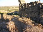 DSCN0181.jpg