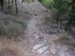 DSCN0208.JPG