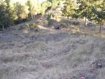 DSCN0189.JPG