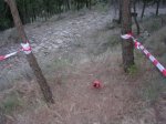 DSCN0199.jpg