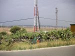 yet tar 2010 4.jpg