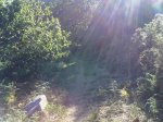 17082010092.jpg