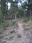 IMG_3736.jpg