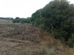 17082010090.jpg