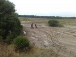 17082010089.jpg