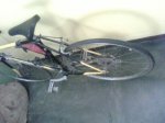 SPECIALIZED2.jpg