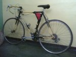 SPECIALIZED.jpg