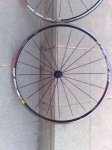18082010224.jpg