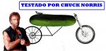 Pepino.JPG