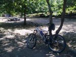 18082010_004.jpg