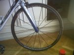 IMG00148-20100819-0809.jpg