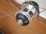 DSC08060.jpg