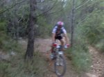19-8-2010 004.jpg