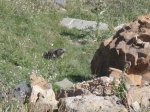 DSC04367.JPG