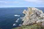 IMG_7374.jpg