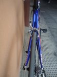 madone 251.jpg