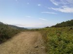 19082010112.jpg