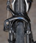DSC_4313.jpg
