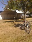 DSC00998.jpg