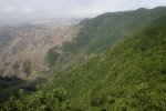 CIMG0167.jpg