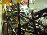 DSC01584.jpg