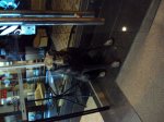 DSC01591.jpg