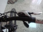 DSC05217.jpg