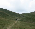 IMG_8126-crop.JPG