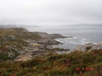 DSC04385.jpg
