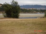 DSC04437.jpg