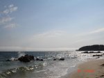 DSC04384.jpg