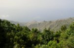 CIMG0285.jpg
