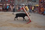 DSC_0274.jpg