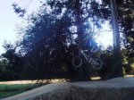 DSC08251.JPG