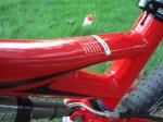 DSC02215.jpg