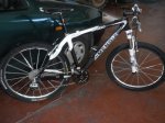MOVIL 011.jpg