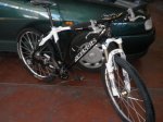 MOVIL 010.jpg