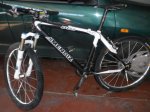 MOVIL 009.jpg