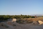 DSC01227.JPG