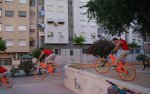 DSC01347.jpg