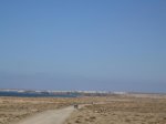 IMG_3605.jpg