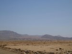 IMG_3604.jpg