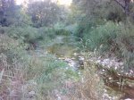 P0845_24-08-10.jpg