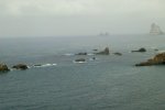 CIMG0237.jpg