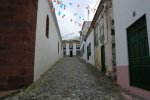 CIMG0229.jpg