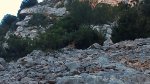 DSC00200.jpg
