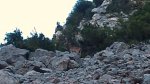 DSC00199.jpg